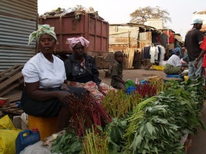 Many diets in Africa contain a plethora of nutritious leafy greens, like these in a market in The Gambia. Photo credit: Joan Baxter