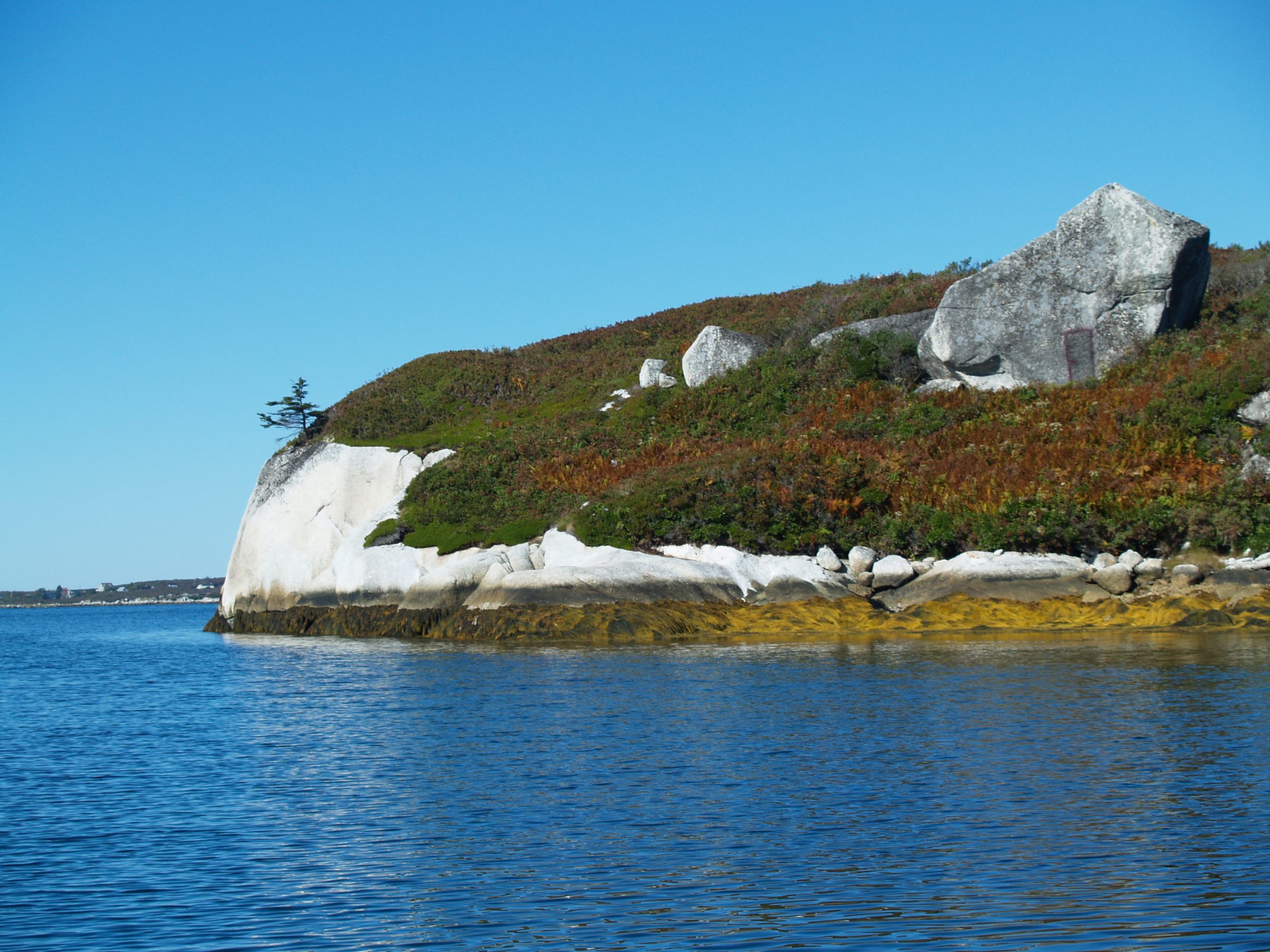 Stunning white rock shoreline near Terence Bay. Photo by Joan Baxter