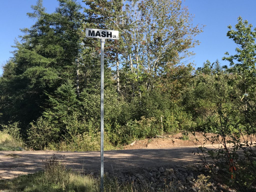 This photo shows a sign saying Mash (a nickname for Mashaghati) Lane at Golden Lake Estates West Bay Hills Estates where all eight lots have been sold. Photo by Joan Baxter