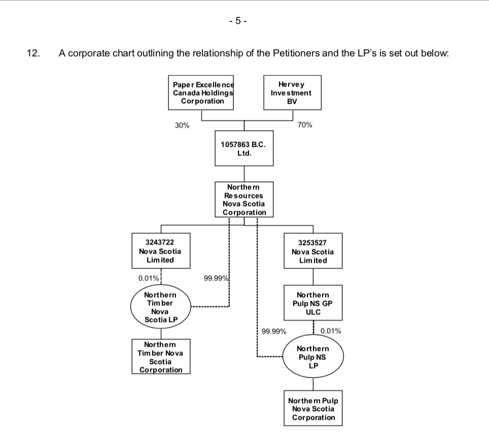 Corporate structure of Paper Excellence from Bruce Chapman 2020 affidavit to BC Supreme Court