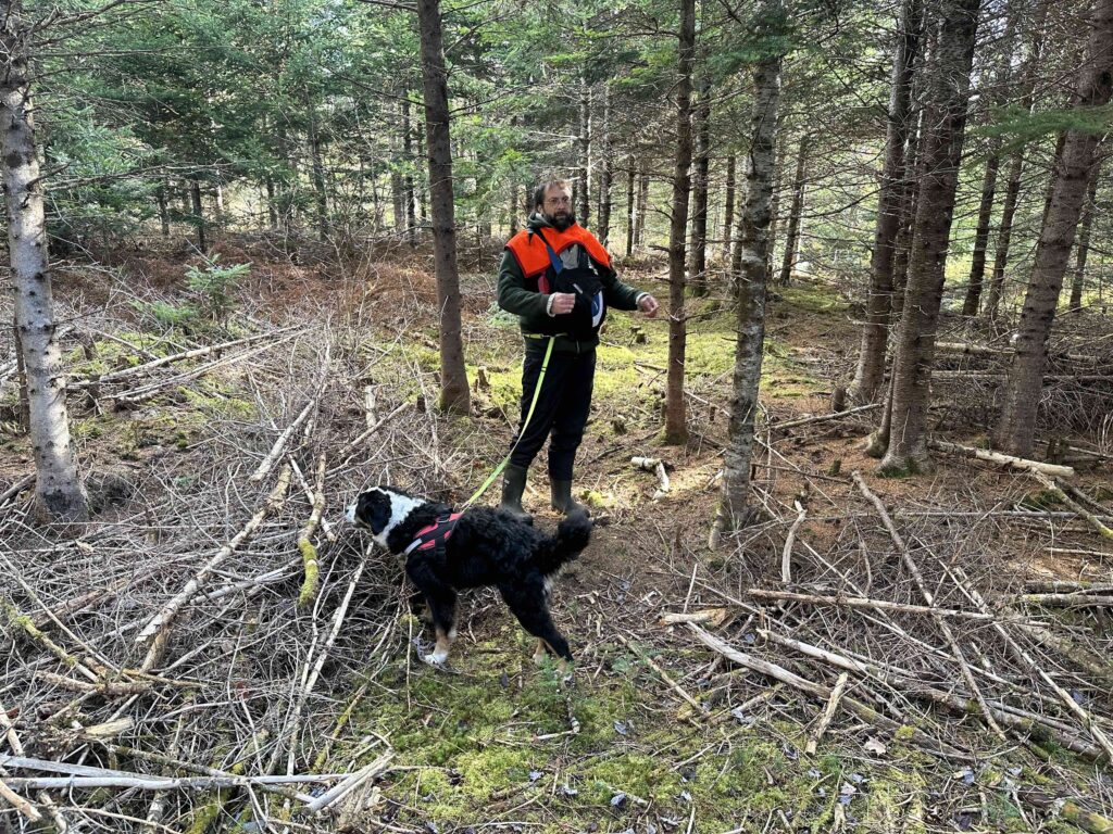 A bearded, dark-haired and bespectacled man wearing very dark green trousers and jacket and boots, and a hunters' red shawl over his shoulders, stands in a semi-clearing in woods, surrounded by white spruce and brush, with a large black and white dog on a lime green leash that is attached to his belt.