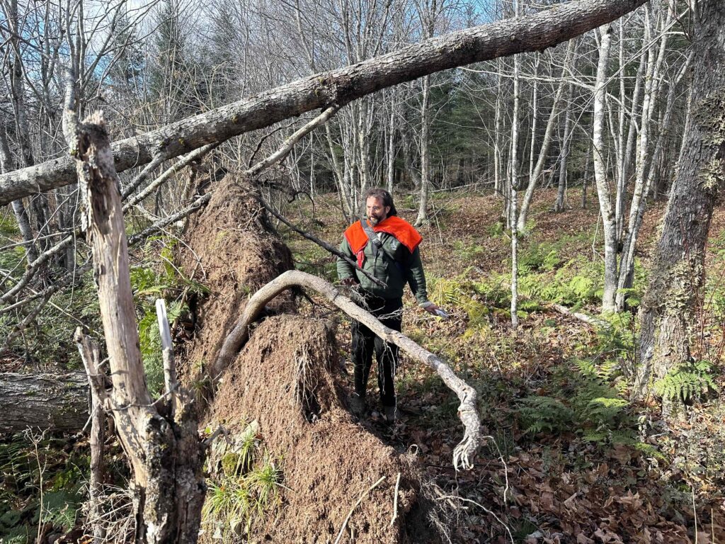 A dark-haired, bearded and bespectacled man, wearing dark green jacket and pants and boots, and a hunters' orange shawl across his shoulders, stands in sparse woods, beside the upturned root system of a toppled tree, which is taller than he is.