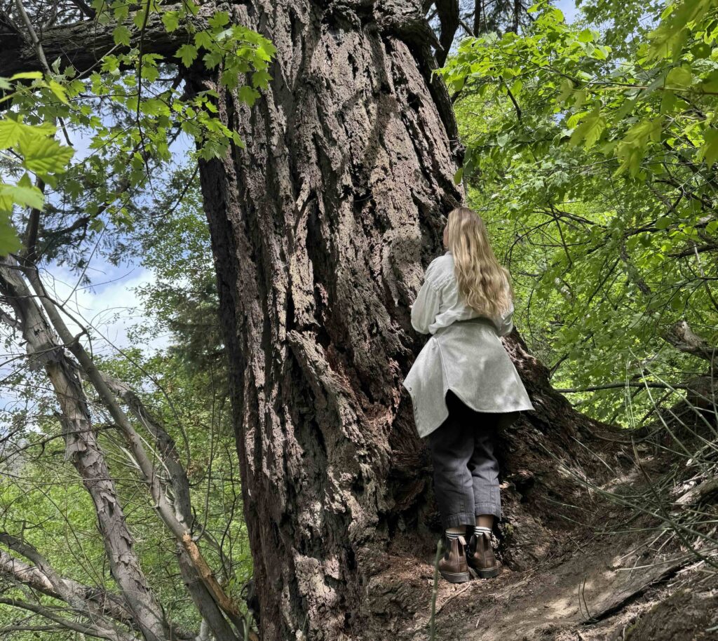 A woman with long blonde hair down her back, a long-sleeved off-while shirt and a grey jacket wrapped around her waist, black jeans and brown walking boots, stands with her back to the camera, touching the trunk of an enormous tree trunk four times as wide as she is, and with deeply grooved bark. Around her are green leaves from neighbouring trees, with a patch of blue sky just visible.