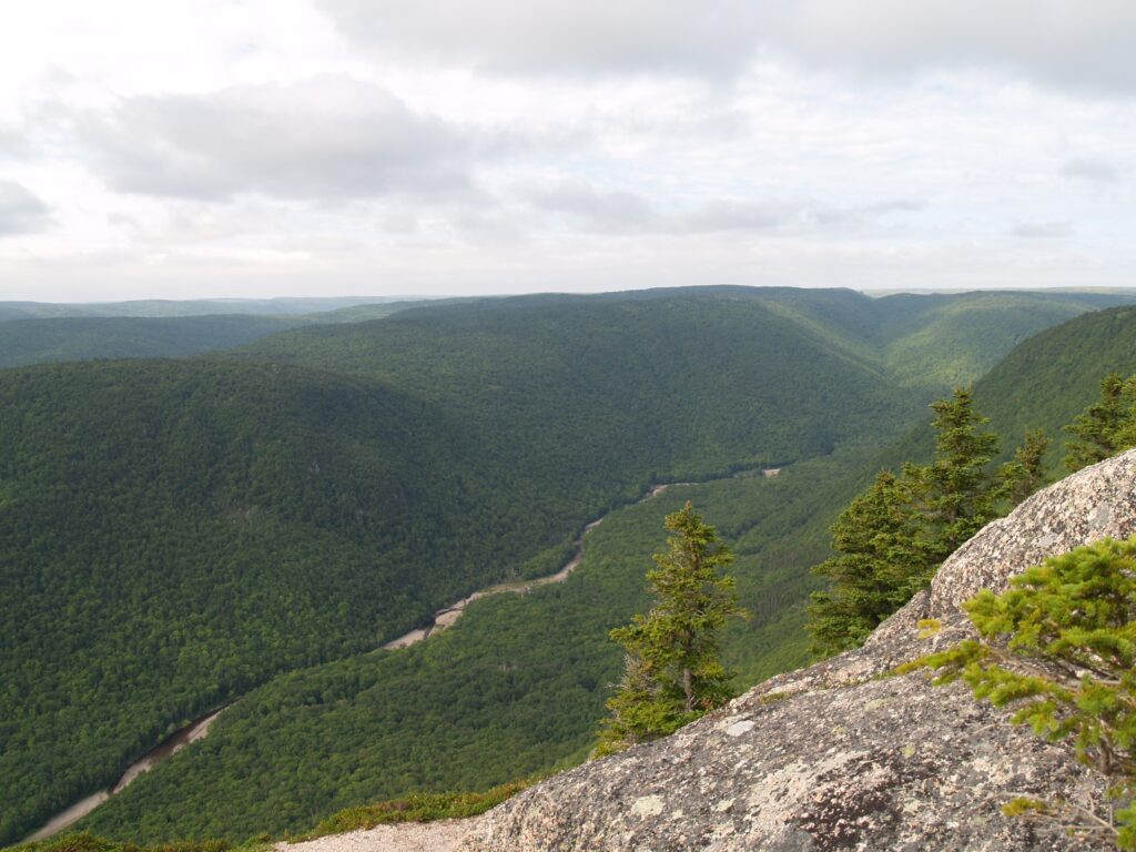 The view from a rocky outcrop, just barely visible in the foreground, of a solidly forested mountain-scape, broken only by one riverbed running through it.