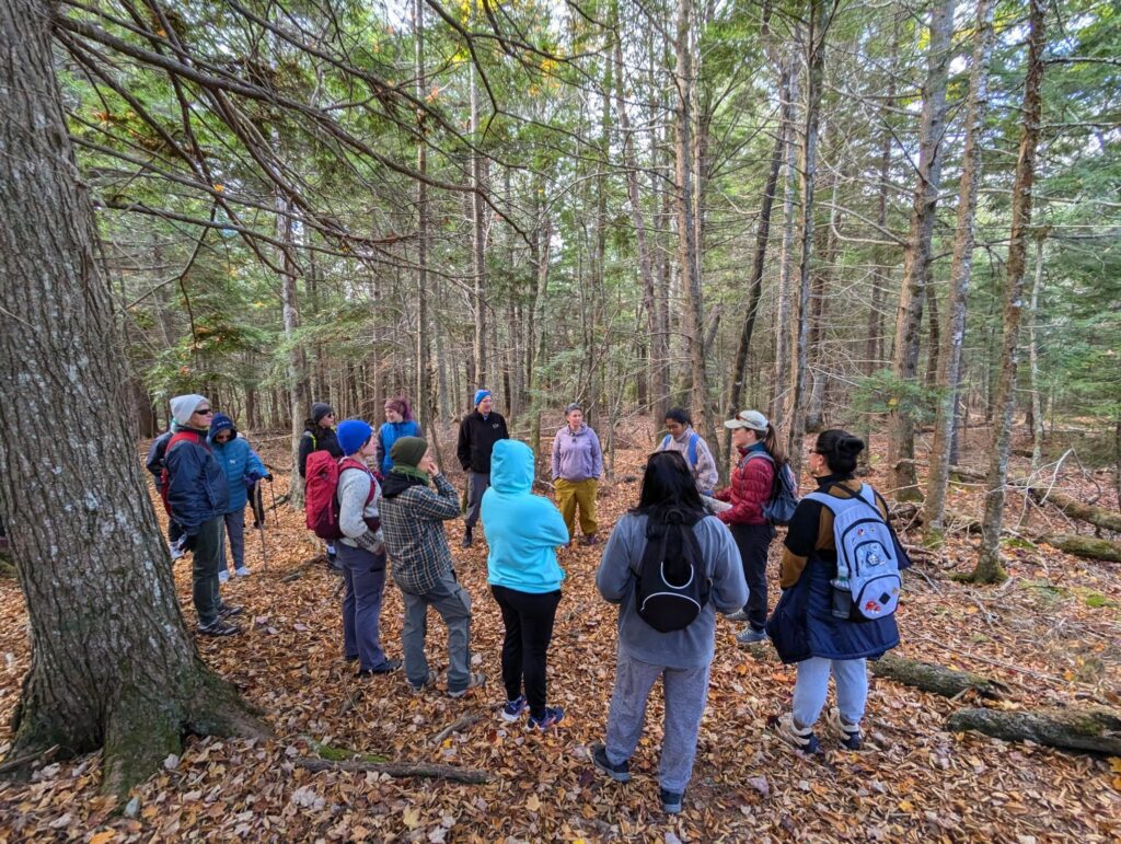 A woman wearing a wine-red puffy jacket, grey baseball cap, and blue backpack speaks to a group of 13 people gathered around her in a large circle in a wooded area, with lots of brown leaf litter underfoot, and a large hemlock tree trunk on the left of the photo.