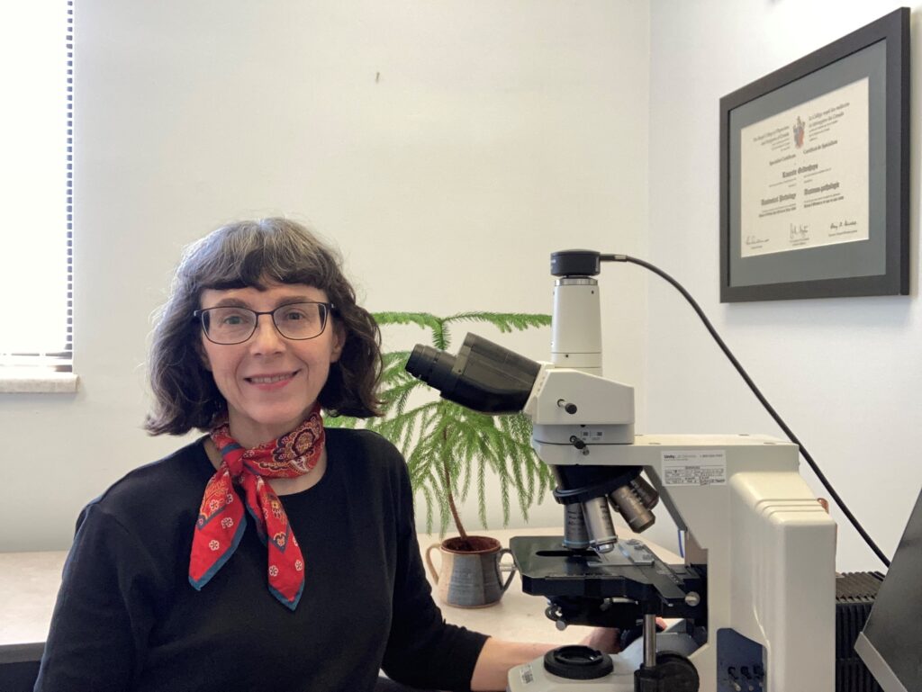 A smiling woman with chin-length black hair, peppered with a little grey, wearing dark-framed glasses, a red patterned scarf around her neck and a black crew-necked sweater, sits at a large white and black microscope, with a small feathery green plant growin in a double-handled blue mug on the desk behind her.