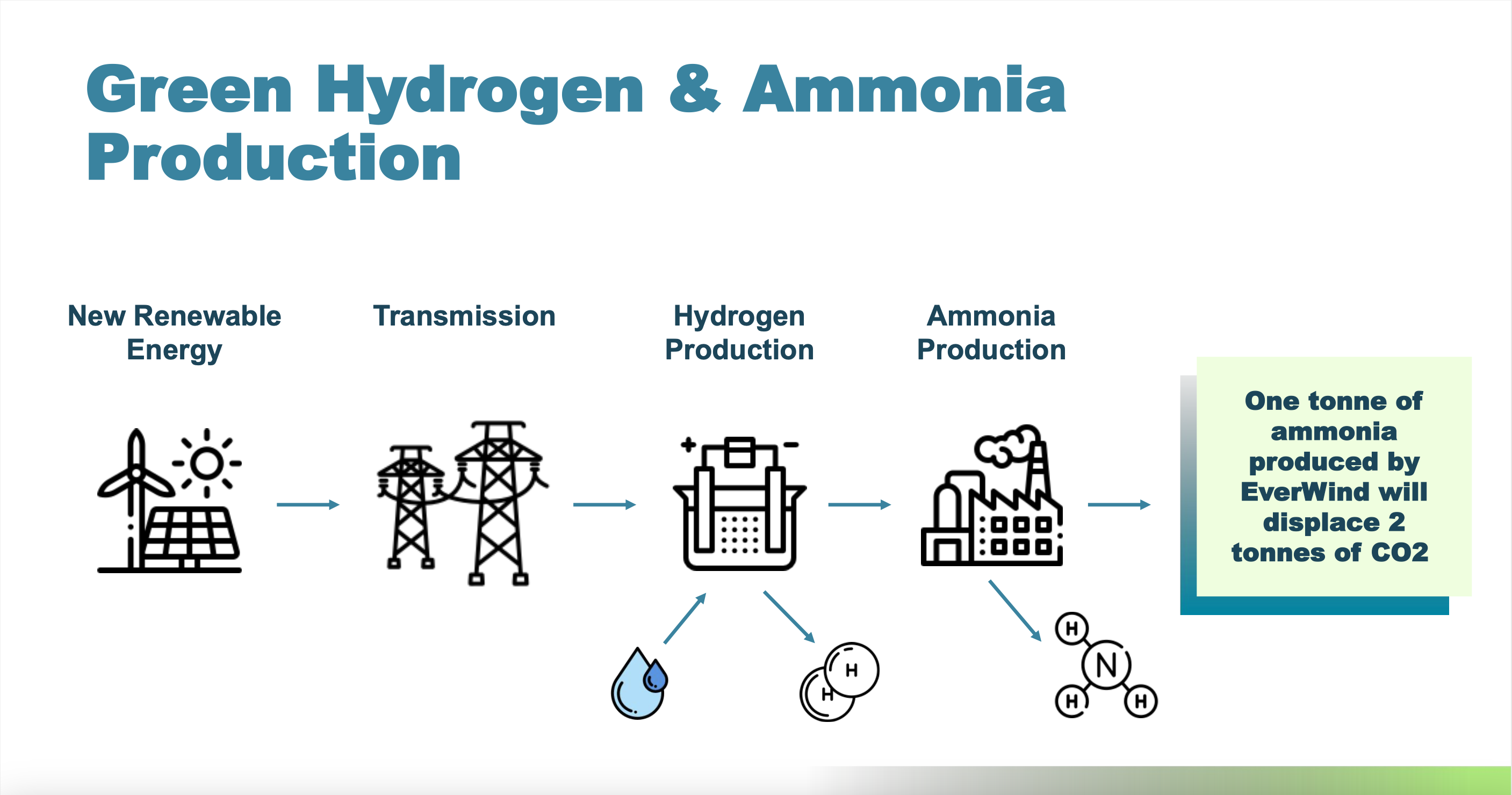A graphic entitled "Green Hydrogen & Ammonia Production" shows New Renewable Energy, represented by symbols for a wind turbine, solar panels and the sun, with an arrow linking that to "Transmission" represented by high voltage transmission line towers. That in turn, is linked by an arrow to "Hydrogen production" represented by a graphic for a hydrogen electrolyzer, which in turn is linked with an arrow to "Ammonia production" represented by a factory symbol. To the right are the words, "One tonne of ammonia production by EverWind will displace 2 tonnes of CO2."