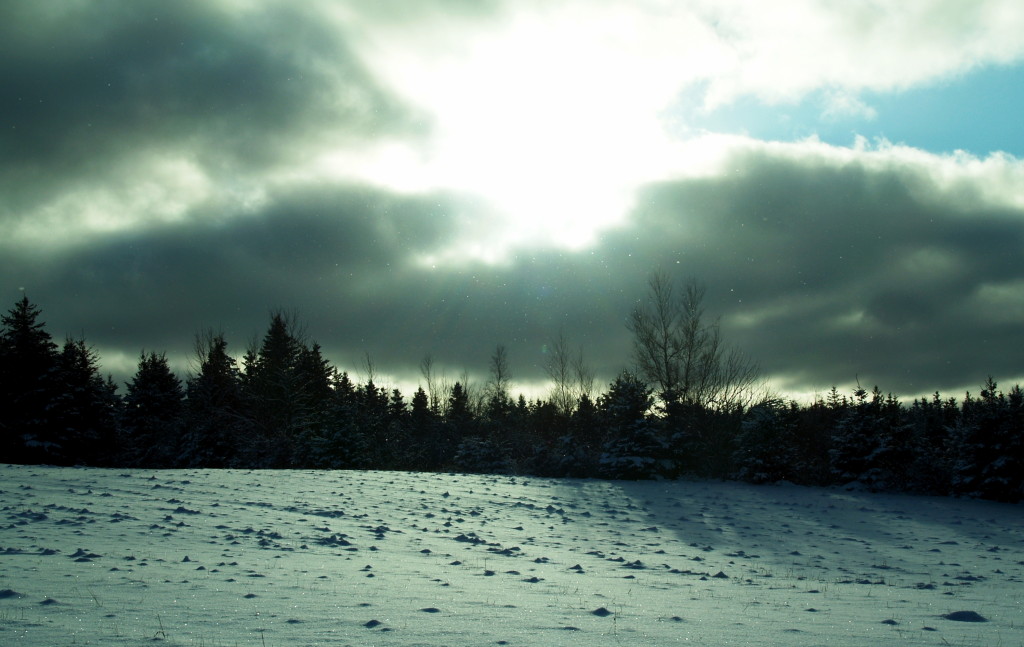 A December winter sky in Nova Scotia