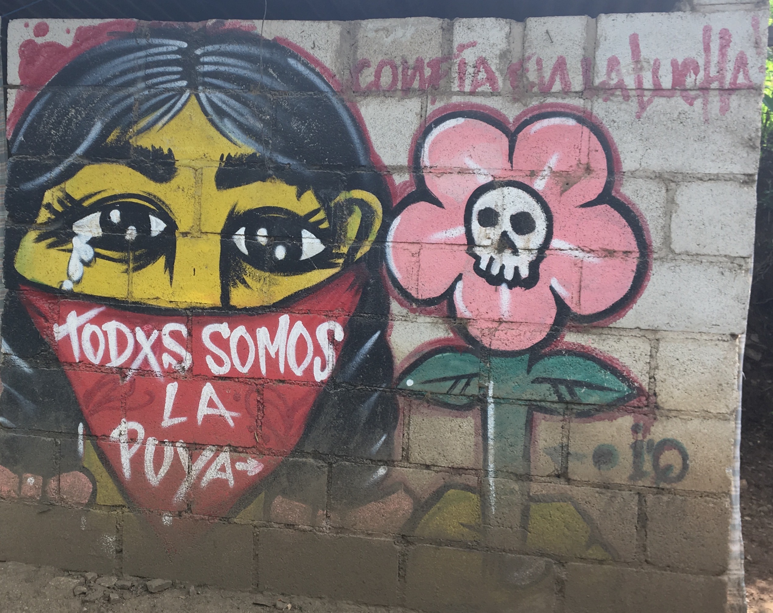 This photo shows popular art on a wall saying “Todos somos la puya” (We are all The Thorn”) inspired by the resistance to the Tambor gold mine in Guatemala. Photo: Catherine Nolin