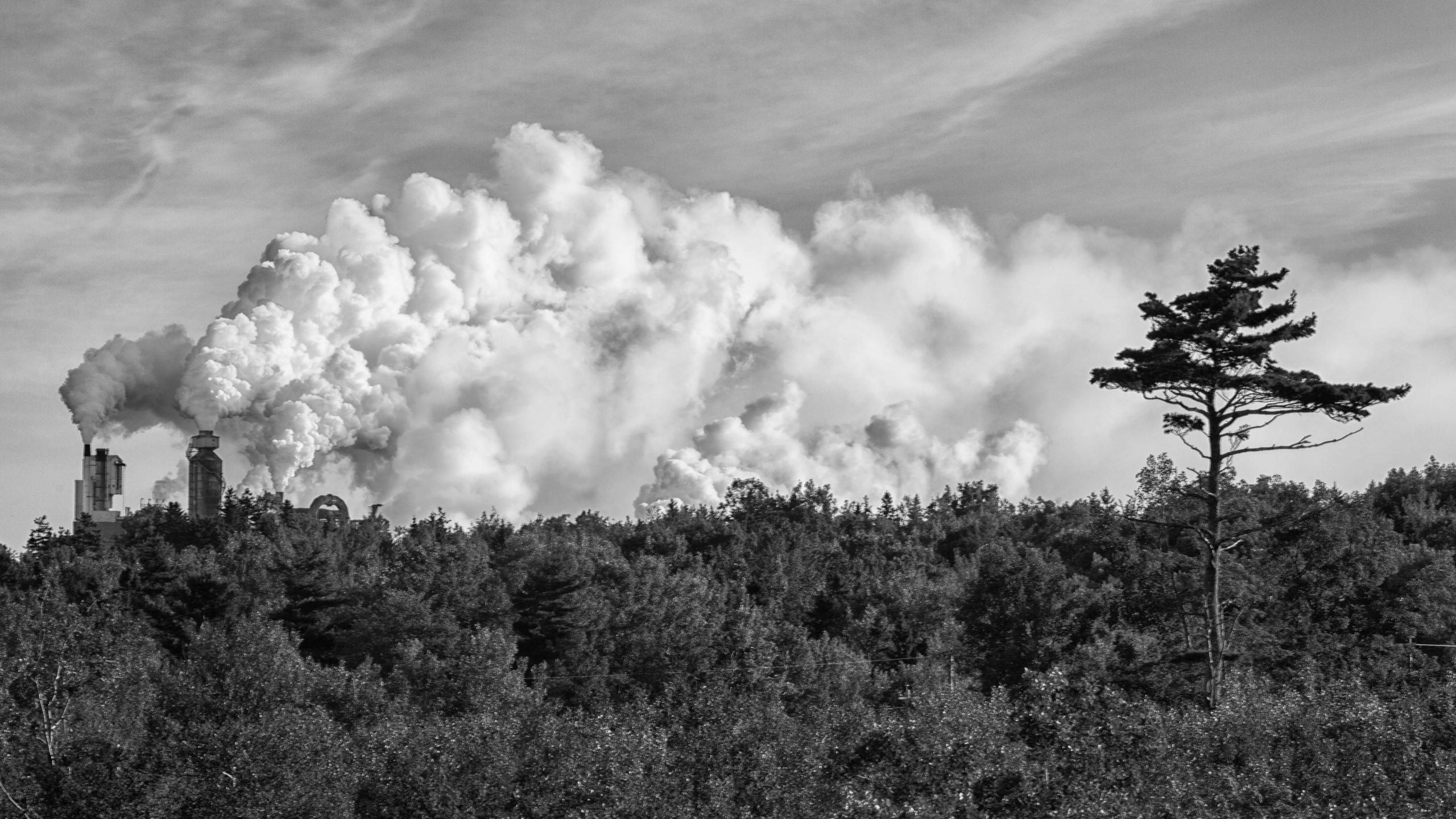 A black and white photo of smoke and steam billowing into the air from the Northern Pulp mill when it was still operating. Photo: Dr. Gerry Farrell